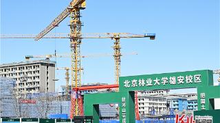 大学城疏解配套项目建设加速推进