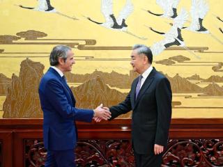 王毅会见国际原子能机构总干事格罗西