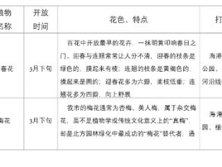 秦皇岛市主城区春天赏花时间及打卡地点来啦