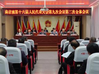 惠民县麻店镇第十六届人民代表大会第九次会议胜利召开