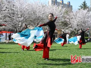 石家庄市石津灌渠文化公园2026年樱花赏花季活动启幕