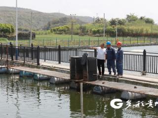 贵州安龙：池中鱼儿跃 电足产业兴