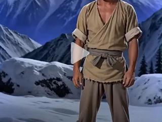 东南时评 | 雪山救狐狸，点燃全民想象力