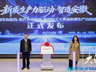安徽发布三大新兴产业赛道新质生产力发展白皮书