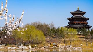 悦容公园春意浓