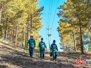 感恩奋进 双争有我｜国家电网冀北电力（承德塞罕坝）共产党员服务队：扎根电力一线，守护千家万户光明