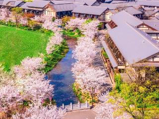 2026全国地方媒体总编辑看无锡｜读城文脉·拈花湾：禅境东方立潮头 时尚无界耀全球