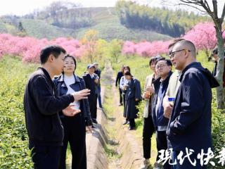 2026全国地方媒体总编辑看无锡｜从一叶春茶看宜兴茶文旅融合