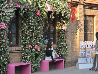 吉镜头｜商埠地花墙上线 解锁春日浪漫