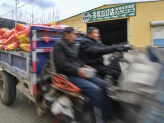 春耕保供 贵州“磷”量|开磷“禾稼欢”——“智慧农民的选择”