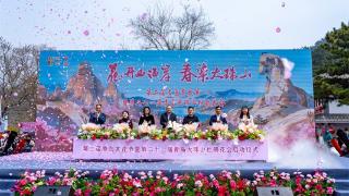 2026第二届青岛赏花节暨第二十一届青岛大珠山杜鹃花会启幕 打造全景式赏花度假新体验，全域文旅联动激活春日经济