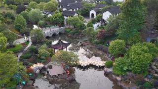 120年越音流芳 | 为二八年华定制一出好戏，古老越剧的青春回响