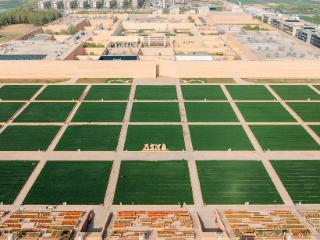 原来你是这样的河南 | 郑州：21个剧场里，演绎中原千年文脉