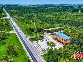 河北省林业和草原局深入学习贯彻习近平总书记在雄安新区考察时的重要讲话精神