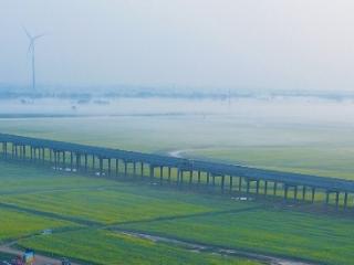 晨雾缭绕淮河蒙洼蓄洪区 油菜花海隐现如画