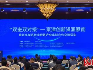 “双进双对接”——激活沧州数字经济产业集群提质升级见实效