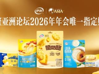 唯一指定！伊利奶酪在博鳌“赢麻了”