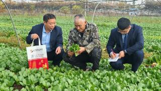 服务到田间 金融助春耕