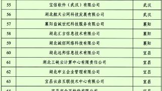 黄石市4家企业入选2026年省级数字化转型服务商名单