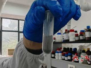 江西科研团队用黑科技“点油成金”