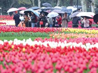 强对流“组团”登场 今天警惕大雨雷雨局部暴雨