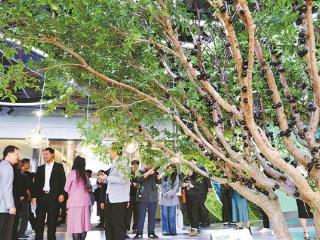 厦门自贸片区培育ESG生态体系 服务城市可持续发展