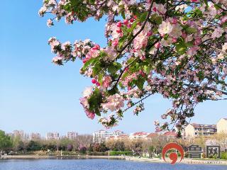 【鲁网图集】芳菲满径沐春风 以文兴旅向未来