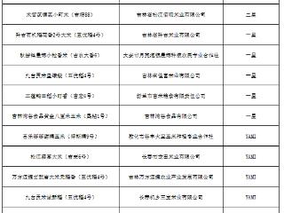 国家级认证！ 吉林15款“明星”上榜
