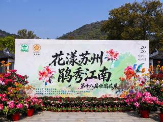 第十八届杜鹃花展4月1日启幕，苏州天平山邀您共赏“江南春日盛宴”