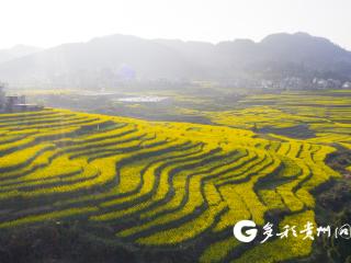 仁怀银水村：“一朵花”撬动乡村振兴