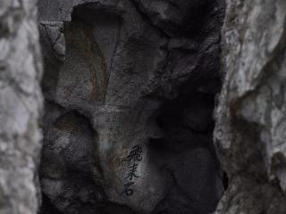 马黎：山中留客