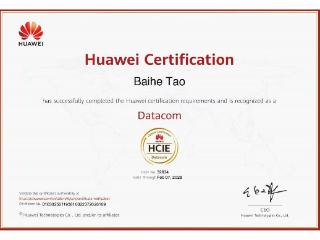 匠心筑梦，技赢未来 郑州信息工程职业学院学子登顶华为HCIE专家认证