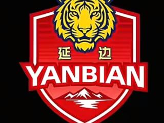 虎啸绿茵，根植长白 “东北超”延边队队徽正式发布