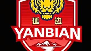 虎啸绿茵，根植长白 “东北超”延边队队徽正式发布