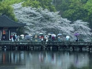 杭州今日午后 阵雨雷雨又要上线