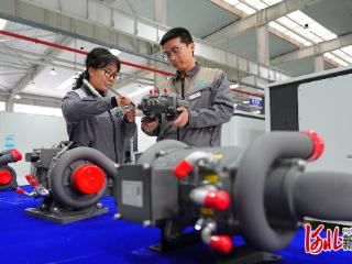 把精准对接雄安需求作为关键抓手 辛集加快发展雄安配套产业