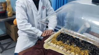 岐黄承家学 道医济苍生——记莱西市中道医康复理疗践行者李东阳