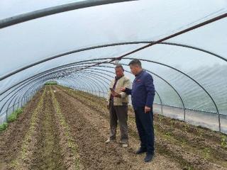 “智”引乡村蝶变 “数”写振兴答卷—临沂联通数智赋能打造新时代“枫桥经验”示范村