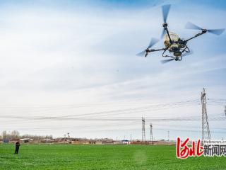 组图｜唐山市开平区：科技赋能春管 小麦喝上“营养水”
