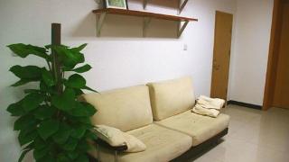 吉林省附大心理咨询有限公司——专业护航，温暖疗愈，守护每一份心灵微光