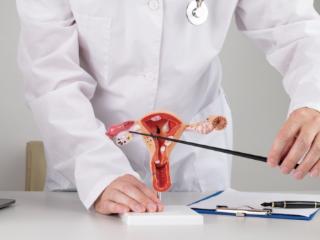 卵巢越好，脸蛋越美！达龄Reju28专家亲授卵巢保养指南