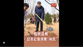 此行间·植树造林，总书记强调要“利民”