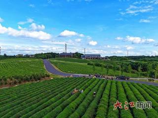 南昌货物出口实现电子证书“云签发”