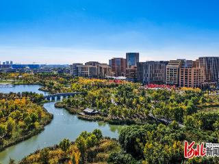 未来的回响｜拾光而上