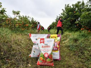 春耕保供 贵州“磷”量|让农民买得到、用得起，更用得好