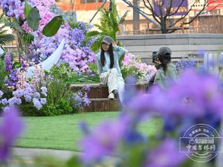 吉镜头｜上海路万达广场“秘境花园”亮相 打造城市春日新地标