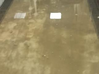 民生帮办追踪｜青岛一社区医院惨变“化粪池”后续：部门推诿、成因不明 污水倒灌愈演愈烈