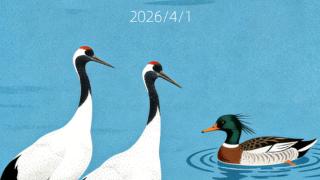 385种！万鸟翔集赴春约，生态吉林绘新篇