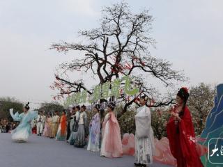 春醉寿州·梨雪鸢飞 2026寿州古城-八公山追花旅游季开幕