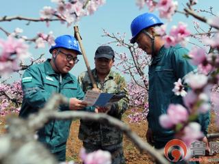 台儿庄供电中心：守护万亩桃园安全供电 筑牢乡村振兴电力根基